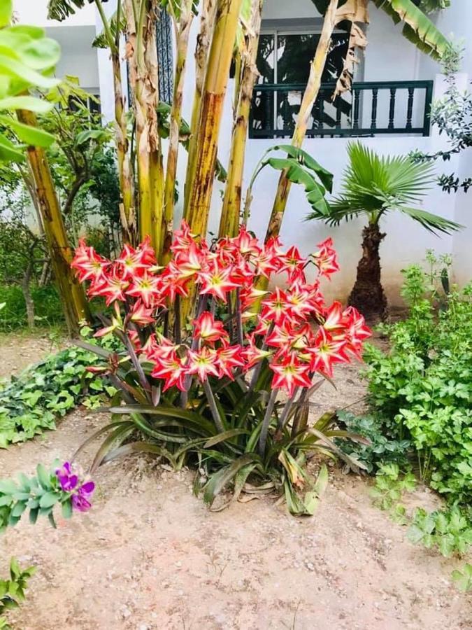 الحمامات Residence Neffati المظهر الخارجي الصورة